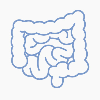 intestinos