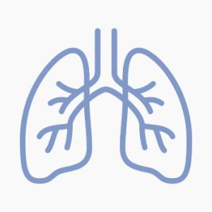 pulmones